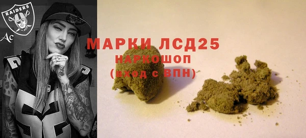 винт Липки