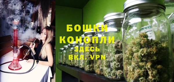 шишки Тобольск