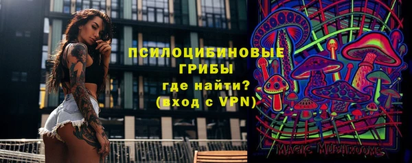 ECSTASY Магас