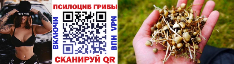 Галлюциногенные грибы мицелий  Тотьма 