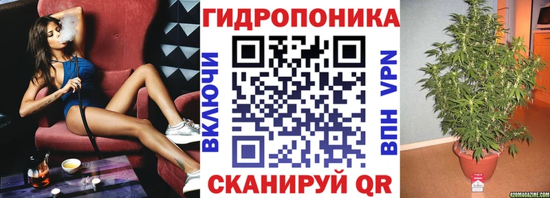 Бошки Шишки индика  Тотьма 